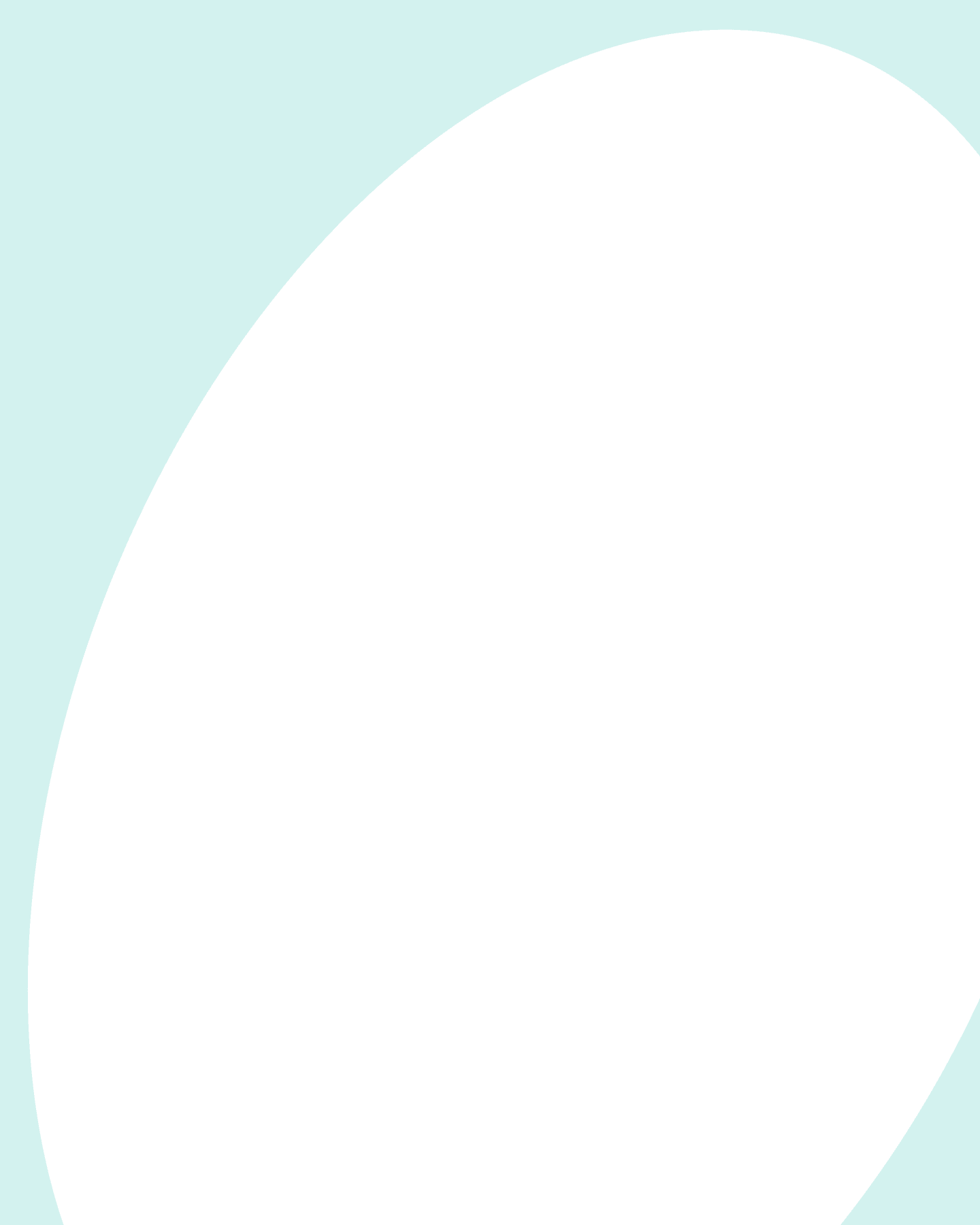 CEO Background