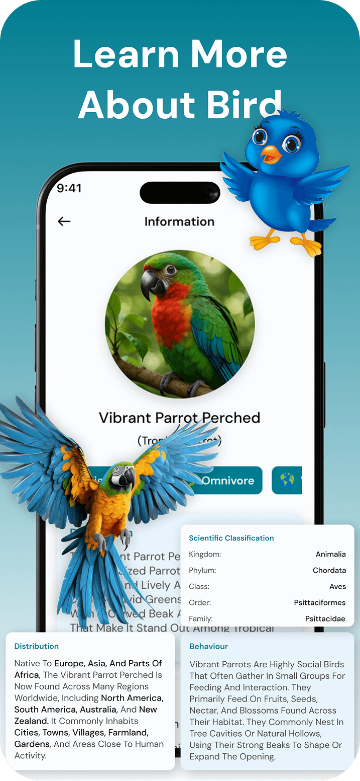 Discover automated AI bird identifier for easy species identification