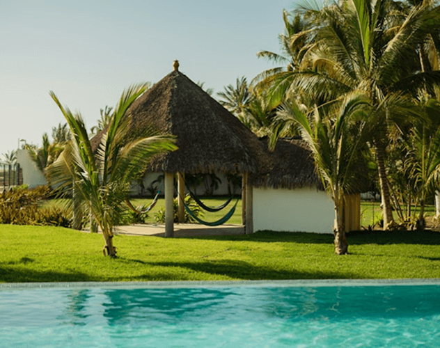 Explore AI Garden platform for innovative landscape design ideas